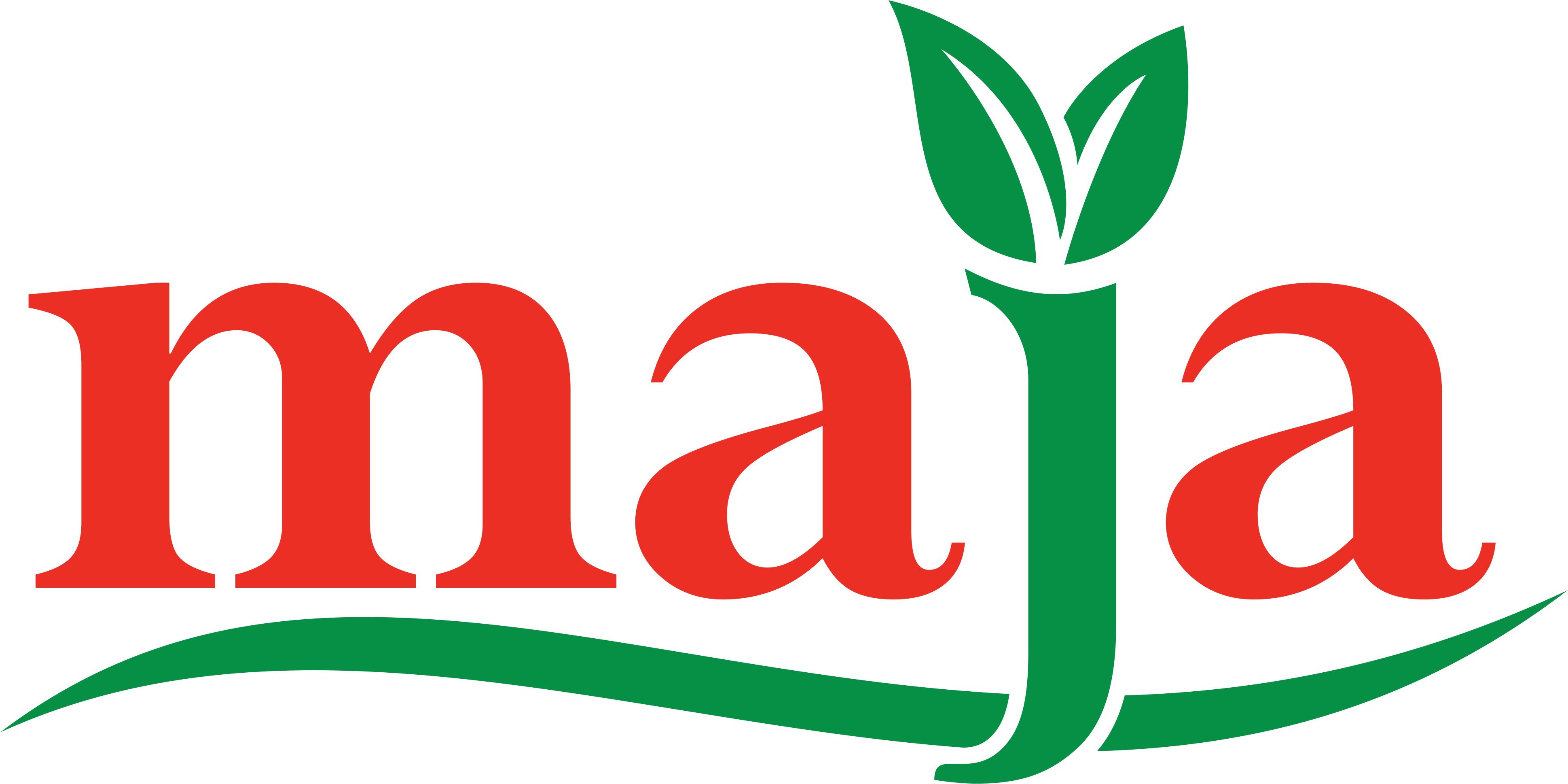 Maja Jaya